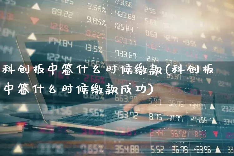 科创板中签什么时候缴款(科创板中签什么时候缴款成功)_https://www.ccit-cctv.com_北交所_第1张