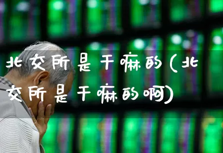 北交所是干嘛的(北交所是干嘛的啊)_https://www.ccit-cctv.com_上交所_第1张
