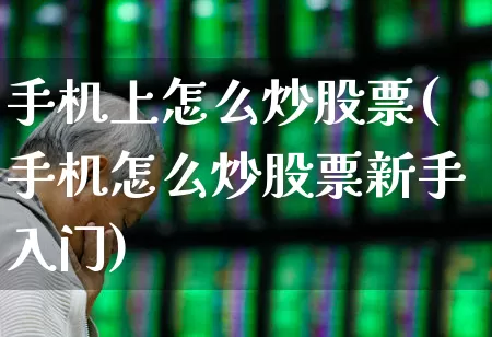 手机上怎么炒股票(手机怎么炒股票新手入门)_https://www.ccit-cctv.com_上交所_第1张