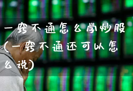 一窍不通怎么学炒股(一窍不通还可以怎么说)_https://www.ccit-cctv.com_上交所_第1张