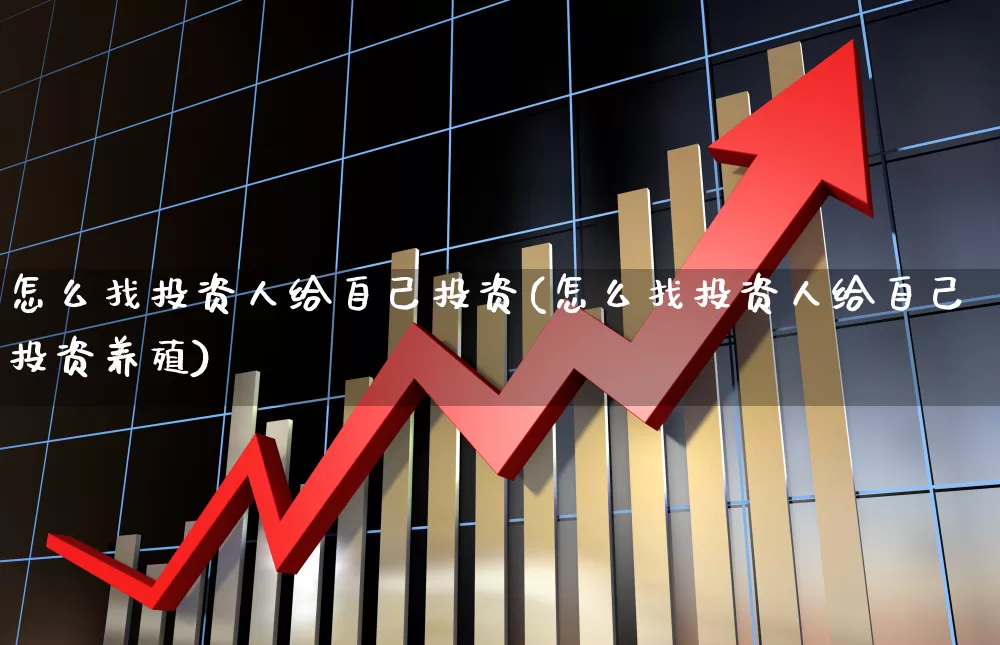 怎么找投资人给自己投资(怎么找投资人给自己投资养殖)_https://www.ccit-cctv.com_北交所_第1张