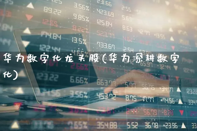 华为数字化龙头股(华为深耕数字化)_https://www.ccit-cctv.com_创业板_第1张