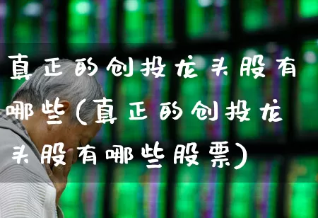 真正的创投龙头股有哪些(真正的创投龙头股有哪些股票)_https://www.ccit-cctv.com_上交所_第1张