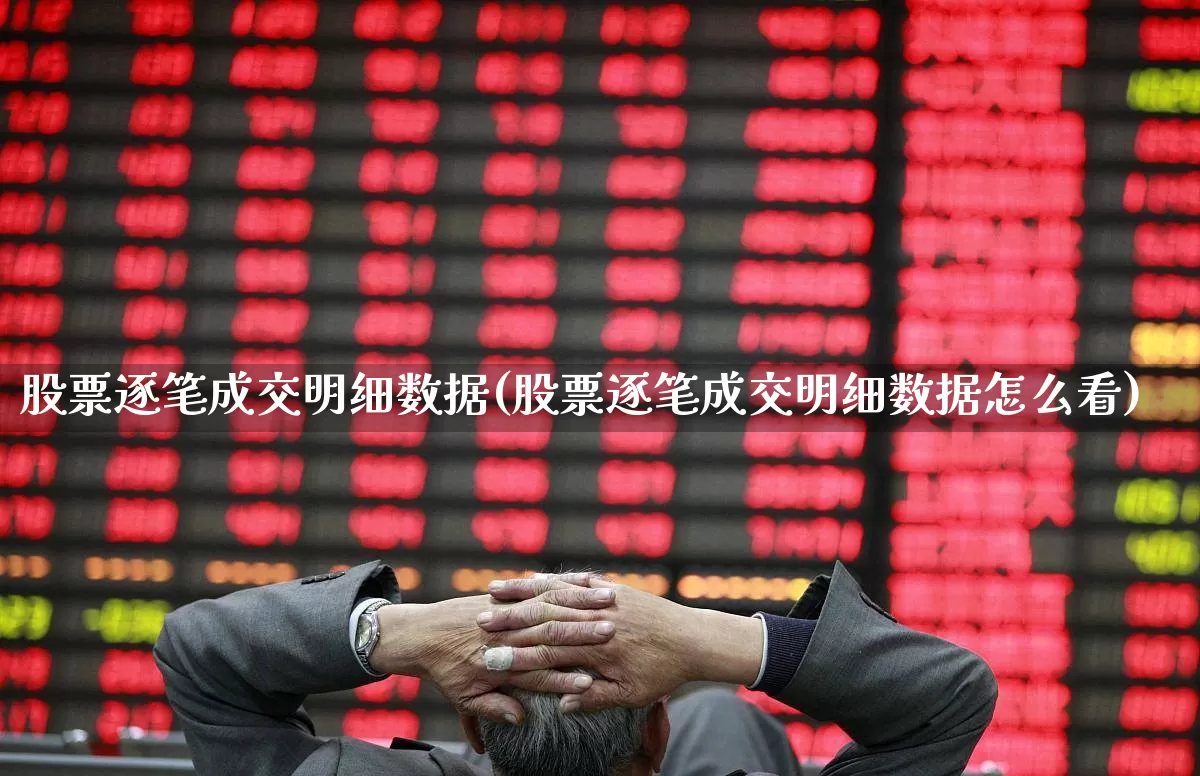股票逐笔成交明细数据(股票逐笔成交明细数据怎么看)_https://www.ccit-cctv.com_科创板_第1张