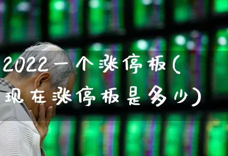 2022一个涨停板(现在涨停板是多少)_https://www.ccit-cctv.com_创业板_第1张