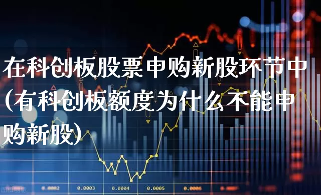 在科创板股票申购新股环节中(有科创板额度为什么不能申购新股)_https://www.ccit-cctv.com_科创板_第1张