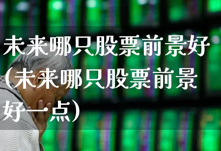 未来哪只股票前景好(未来哪只股票前景好一点)_https://www.ccit-cctv.com_科创板_第1张