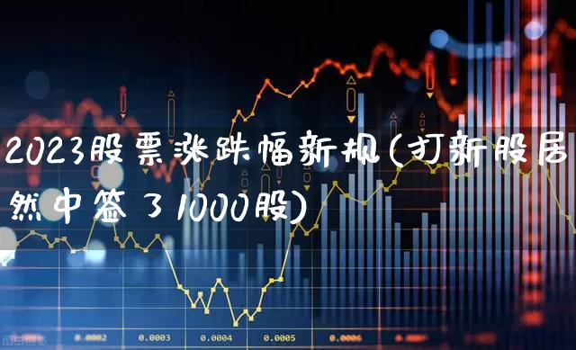 2023股票涨跌幅新规(打新股居然中签了1000股)_https://www.ccit-cctv.com_深交所_第1张