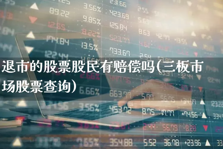 退市的股票股民有赔偿吗(三板市场股票查询)_https://www.ccit-cctv.com_上交所_第1张