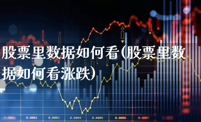 股票里数据如何看(股票里数据如何看涨跌)_https://www.ccit-cctv.com_创业板_第1张