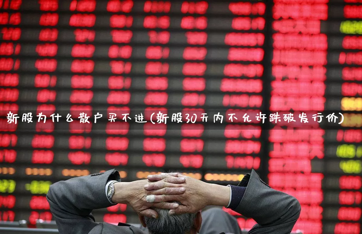 新股为什么散户买不进(新股30天内不允许跌破发行价)_https://www.ccit-cctv.com_深交所_第1张