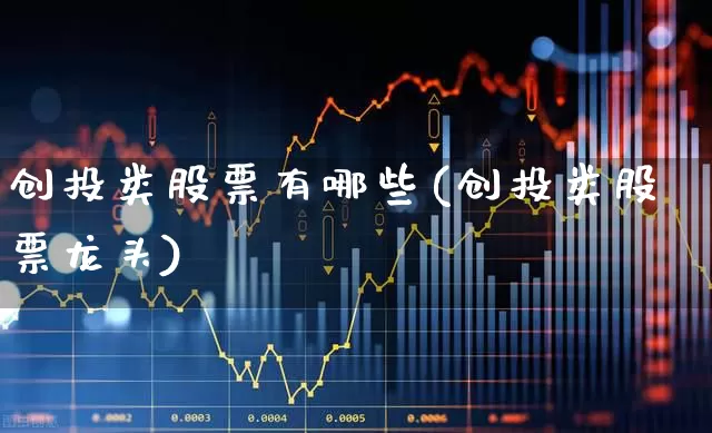 创投类股票有哪些(创投类股票龙头)_https://www.ccit-cctv.com_深交所_第1张