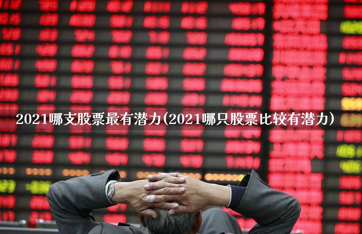 2021哪支股票最有潜力(2021哪只股票比较有潜力)_https://www.ccit-cctv.com_深交所_第1张