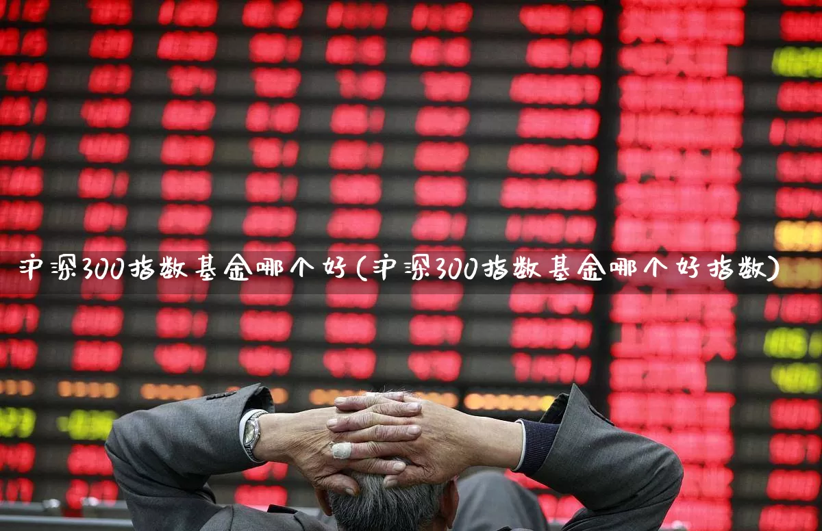 沪深300指数基金哪个好(沪深300指数基金哪个好指数)_https://www.ccit-cctv.com_深交所_第1张