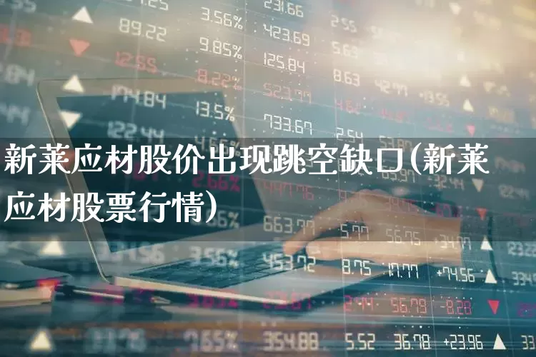 新莱应材股价出现跳空缺口(新莱应材股票行情)_https://www.ccit-cctv.com_北交所_第1张