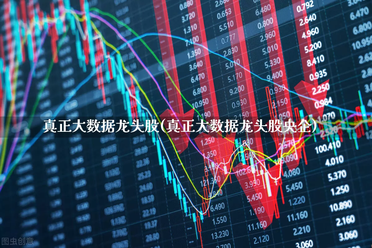 真正大数据龙头股(真正大数据龙头股央企)_https://www.ccit-cctv.com_科创板_第1张