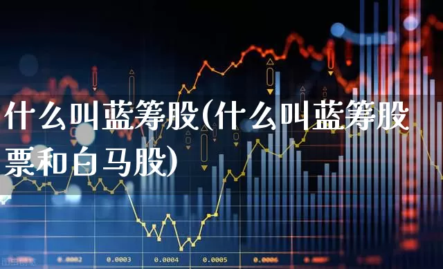 什么叫蓝筹股(什么叫蓝筹股票和白马股)_https://www.ccit-cctv.com_上交所_第1张