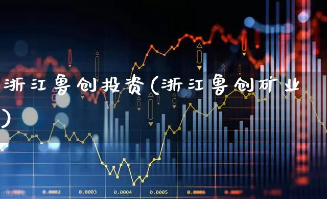 浙江鲁创投资(浙江鲁创矿业)_https://www.ccit-cctv.com_创业板_第1张