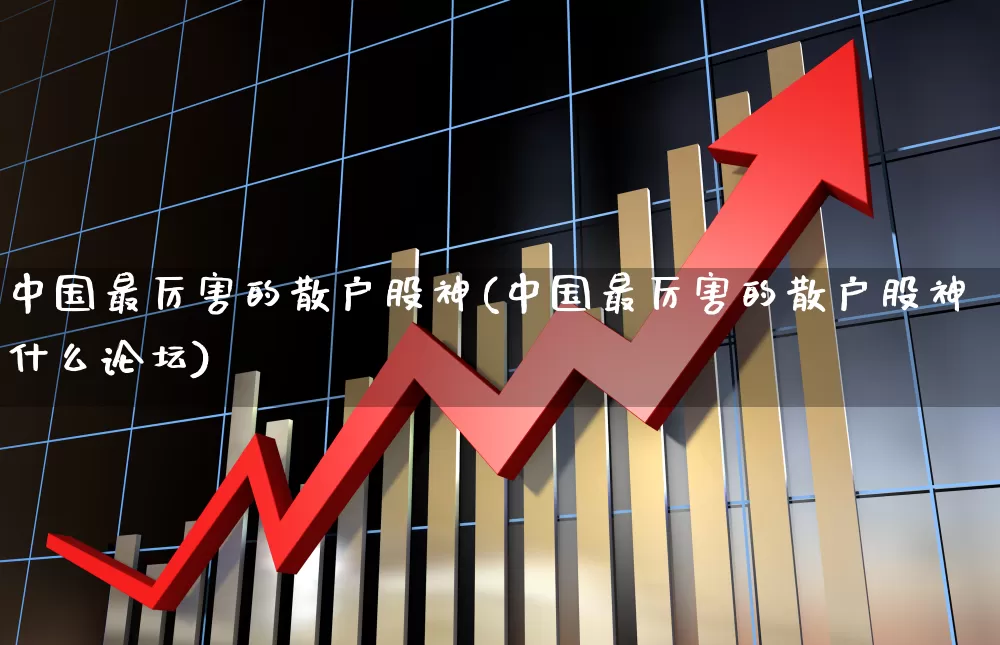 中国最厉害的散户股神(中国最厉害的散户股神什么论坛)_https://www.ccit-cctv.com_创业板_第1张