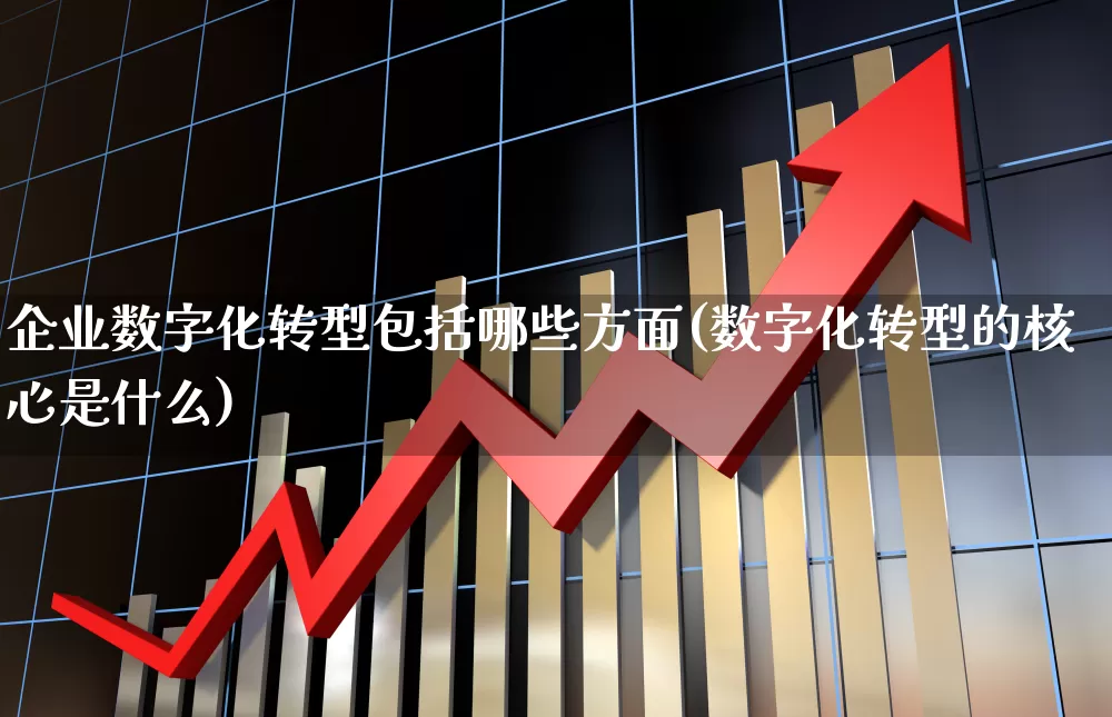 企业数字化转型包括哪些方面(数字化转型的核心是什么)_https://www.ccit-cctv.com_创业板_第1张