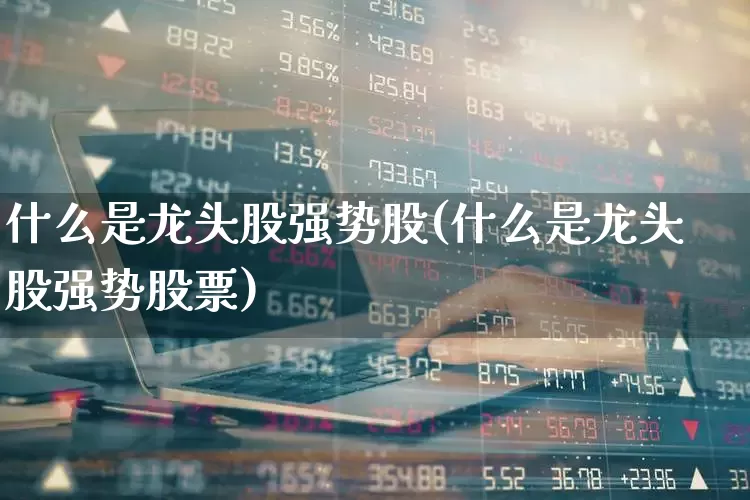 什么是龙头股强势股(什么是龙头股强势股票)_https://www.ccit-cctv.com_上交所_第1张