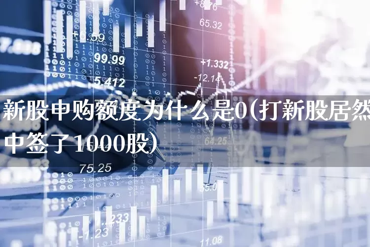 新股申购额度为什么是0(打新股居然中签了1000股)_https://www.ccit-cctv.com_上交所_第1张