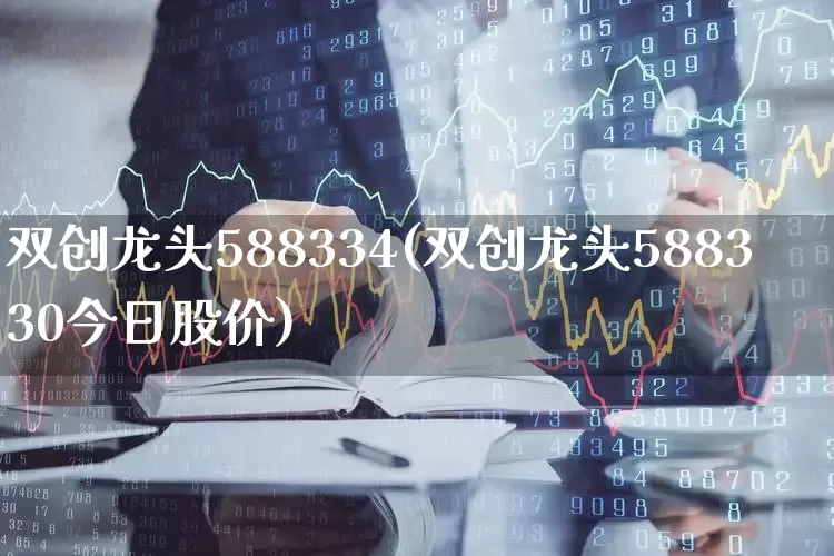 双创龙头588334(双创龙头588330今日股价)_https://www.ccit-cctv.com_科创板_第1张