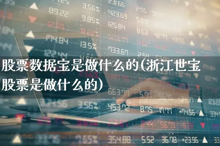 股票数据宝是做什么的(浙江世宝股票是做什么的)_https://www.ccit-cctv.com_科创板_第1张