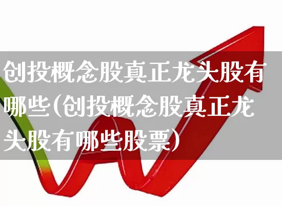 创投概念股真正龙头股有哪些(创投概念股真正龙头股有哪些股票)_https://www.ccit-cctv.com_深交所_第1张