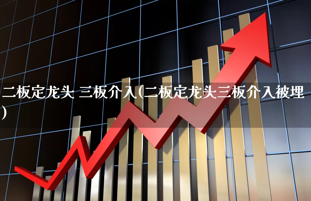二板定龙头 三板介入(二板定龙头三板介入被埋)_https://www.ccit-cctv.com_北交所_第1张