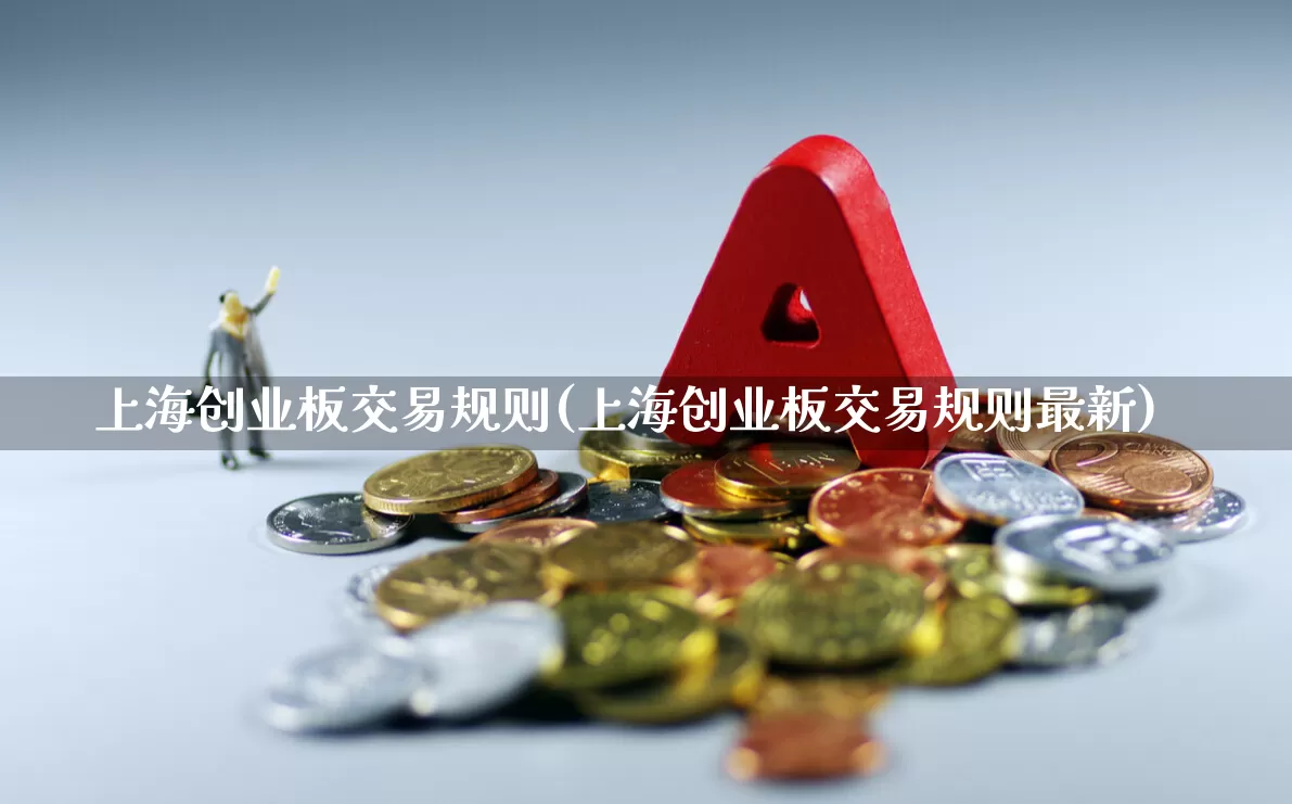 上海创业板交易规则(上海创业板交易规则最新)_https://www.ccit-cctv.com_深交所_第1张
