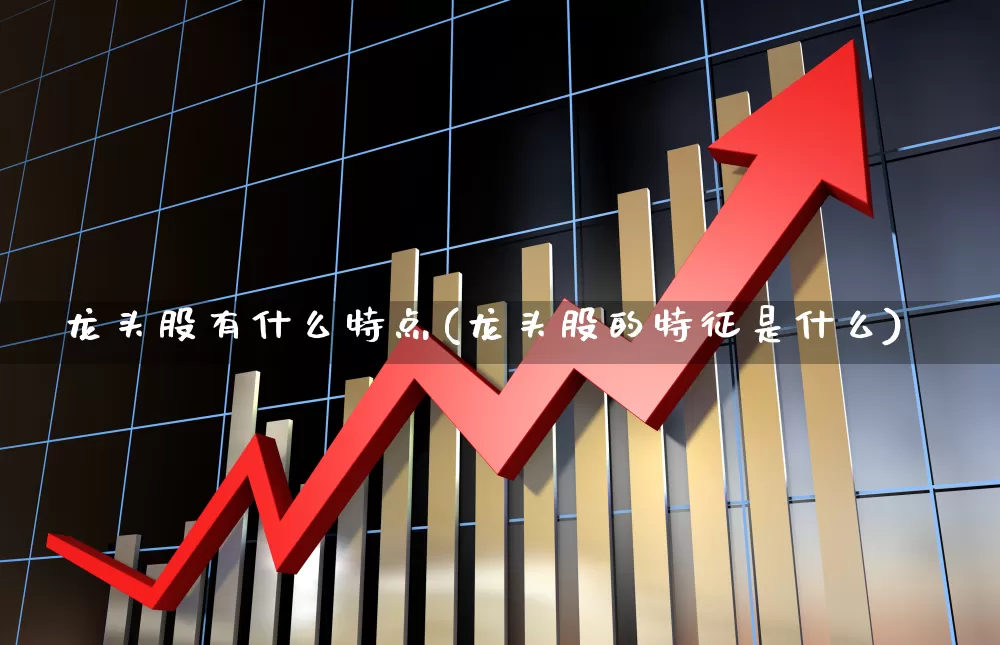 龙头股有什么特点(龙头股的特征是什么)_https://www.ccit-cctv.com_创业板_第1张