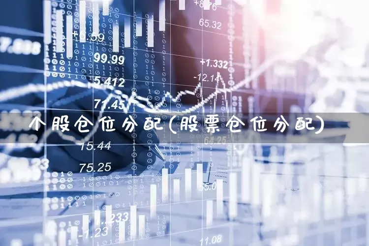 个股仓位分配(股票仓位分配)_https://www.ccit-cctv.com_科创板_第1张