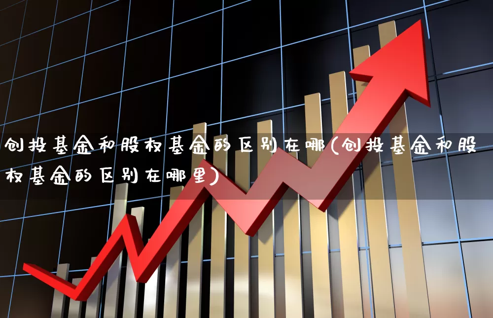 创投基金和股权基金的区别在哪(创投基金和股权基金的区别在哪里)_https://www.ccit-cctv.com_创业板_第1张