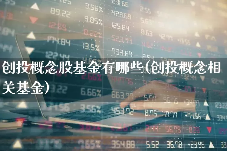 创投概念股基金有哪些(创投概念相关基金)_https://www.ccit-cctv.com_北交所_第1张