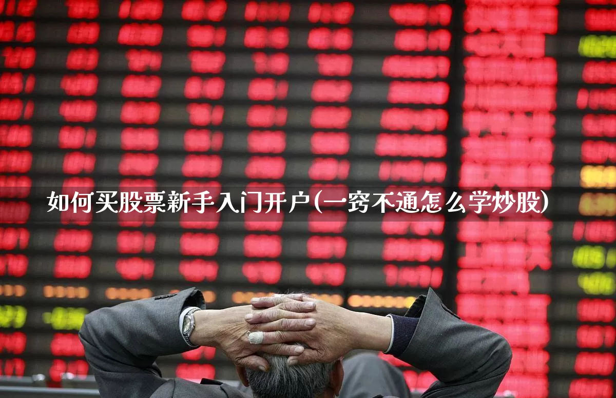 如何买股票新手入门开户(一窍不通怎么学炒股)_https://www.ccit-cctv.com_北交所_第1张