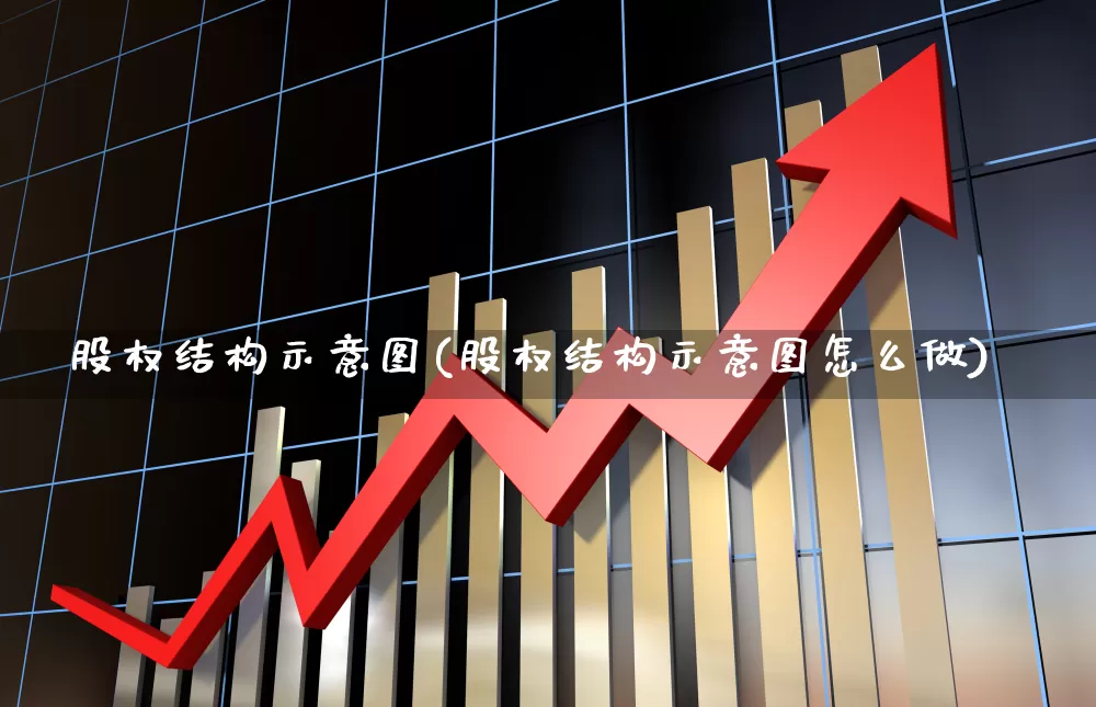 股权结构示意图(股权结构示意图怎么做)_https://www.ccit-cctv.com_深交所_第1张