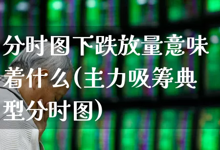 分时图下跌放量意味着什么(主力吸筹典型分时图)_https://www.ccit-cctv.com_深交所_第1张