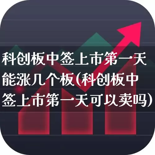 科创板中签上市第一天能涨几个板(科创板中签上市第一天可以卖吗)_https://www.ccit-cctv.com_深交所_第1张