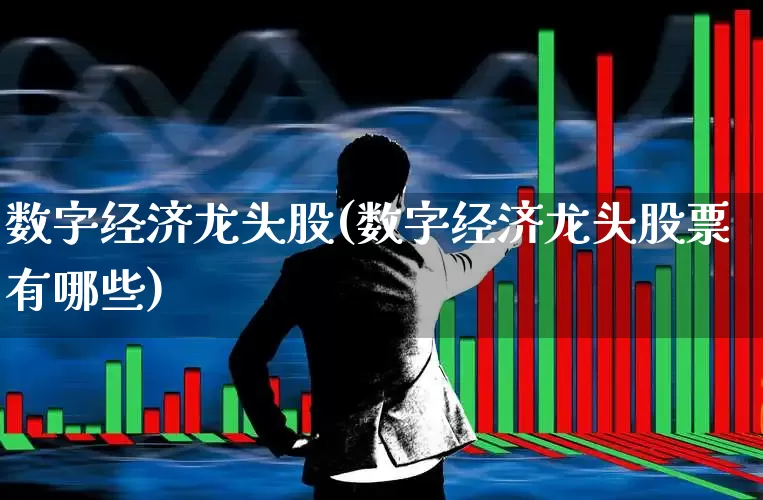数字经济龙头股(数字经济龙头股票有哪些)_https://www.ccit-cctv.com_科创板_第1张