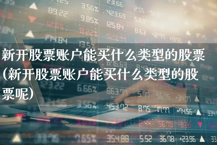 新开股票账户能买什么类型的股票(新开股票账户能买什么类型的股票呢)_https://www.ccit-cctv.com_深交所_第1张