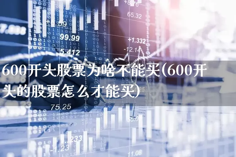 600开头股票为啥不能买(600开头的股票怎么才能买)_https://www.ccit-cctv.com_创业板_第1张