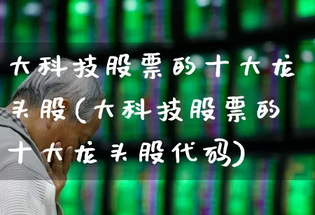 大科技股票的十大龙头股(大科技股票的十大龙头股代码)_https://www.ccit-cctv.com_上交所_第1张