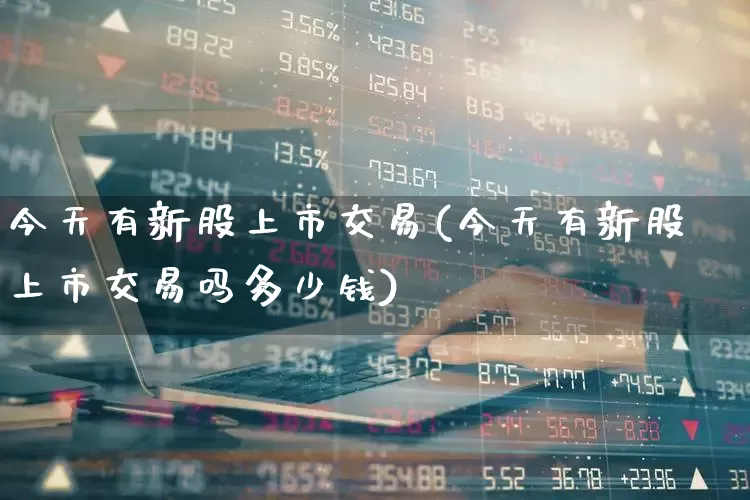 今天有新股上市交易(今天有新股上市交易吗多少钱)_https://www.ccit-cctv.com_科创板_第1张