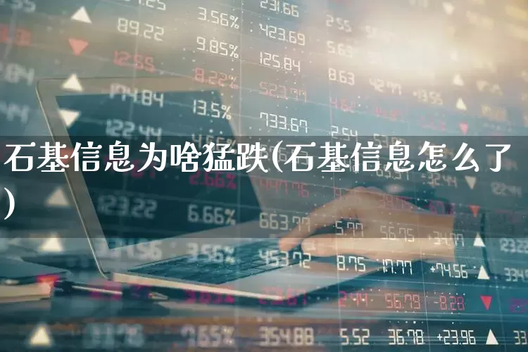 石基信息为啥猛跌(石基信息怎么了)_https://www.ccit-cctv.com_创业板_第1张