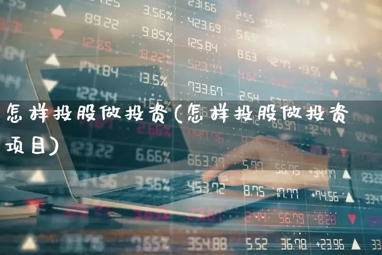 怎样投股做投资(怎样投股做投资项目)_https://www.ccit-cctv.com_深交所_第1张