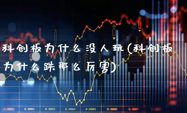 科创板为什么没人玩(科创板为什么跌那么厉害)_https://www.ccit-cctv.com_深交所_第1张