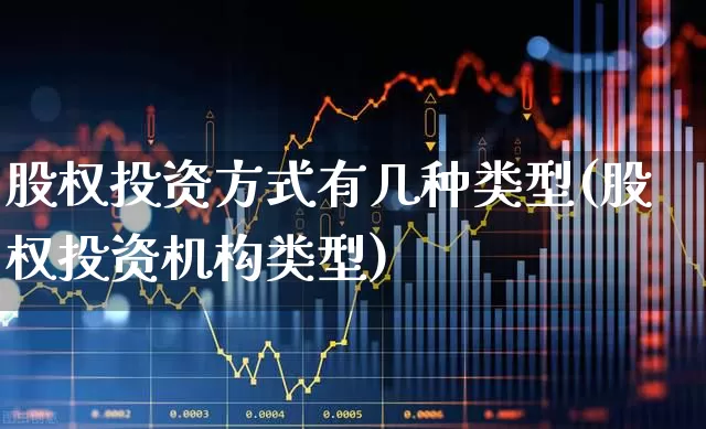 股权投资方式有几种类型(股权投资机构类型)_https://www.ccit-cctv.com_深交所_第1张