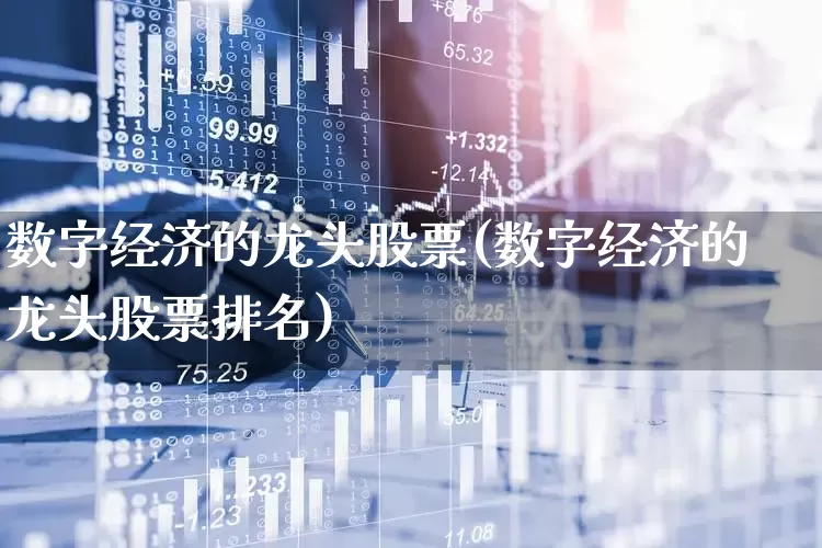 数字经济的龙头股票(数字经济的龙头股票排名)_https://www.ccit-cctv.com_科创板_第1张