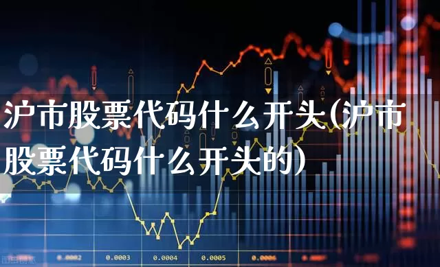 沪市股票代码什么开头(沪市股票代码什么开头的)_https://www.ccit-cctv.com_创业板_第1张